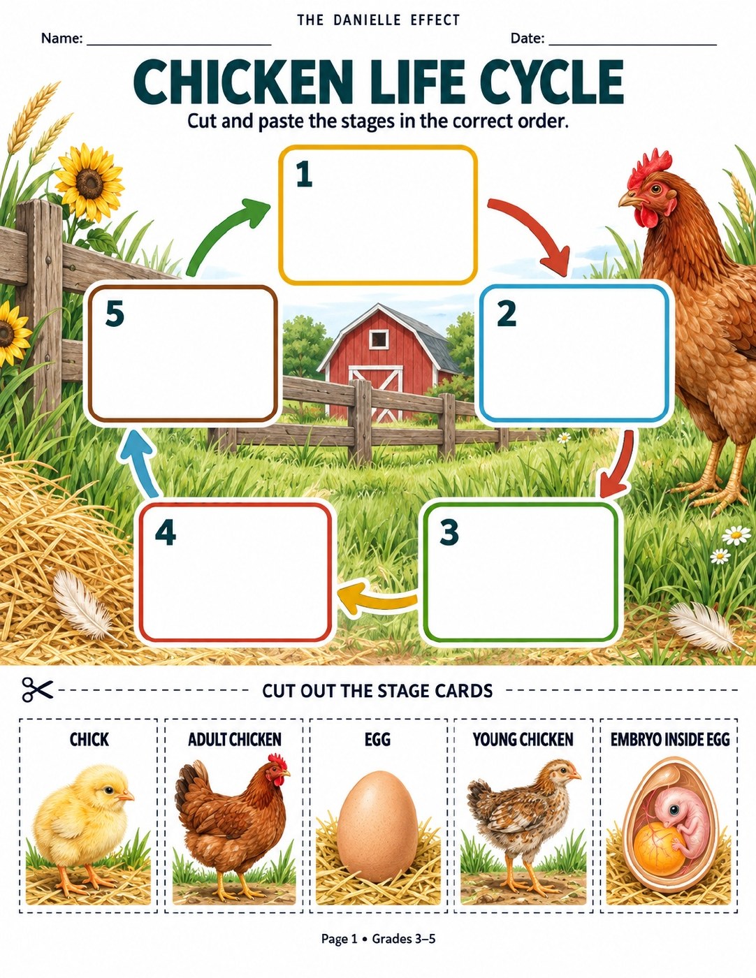7-Page Chicken Life Cycle Pack for Grades 3 through 5 cover