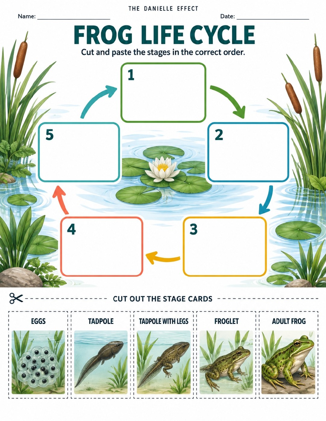 7-Page Frog Life Cycle Pack for Grades 3 through 5 cover