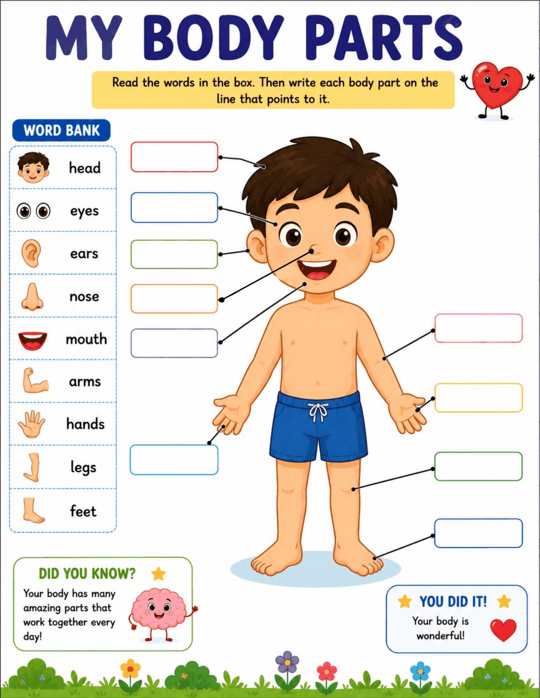 8-Page Elementary Human Body Worksheet Pack cover